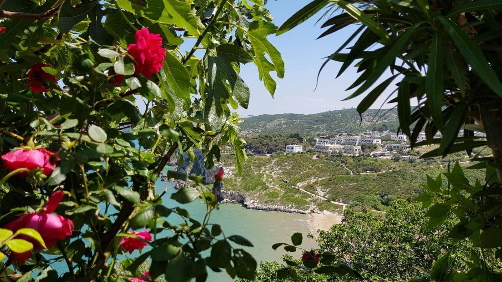 Casa De Sio Bilocale Apartment เปสคีชี ภายนอก รูปภาพ